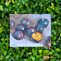 A Taste of Plums