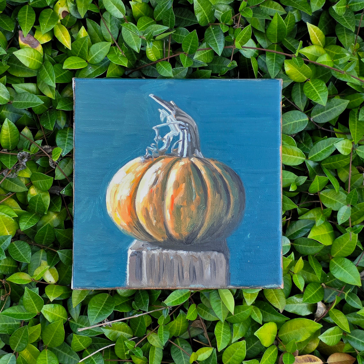Winter Pumpkin